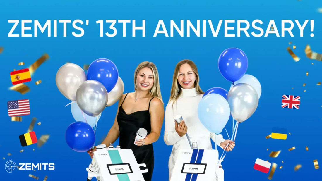 Thirteen Years of Zemits: our journey to Success!