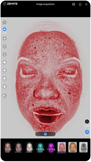 VeraFace Pro red pigment map analysis view
